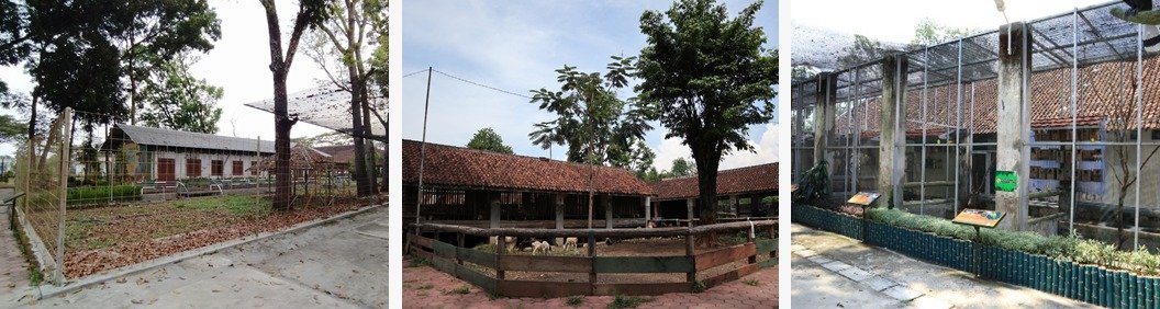Kondisi exhibit satwa pada awal berdirinya Jember Mini Zoo